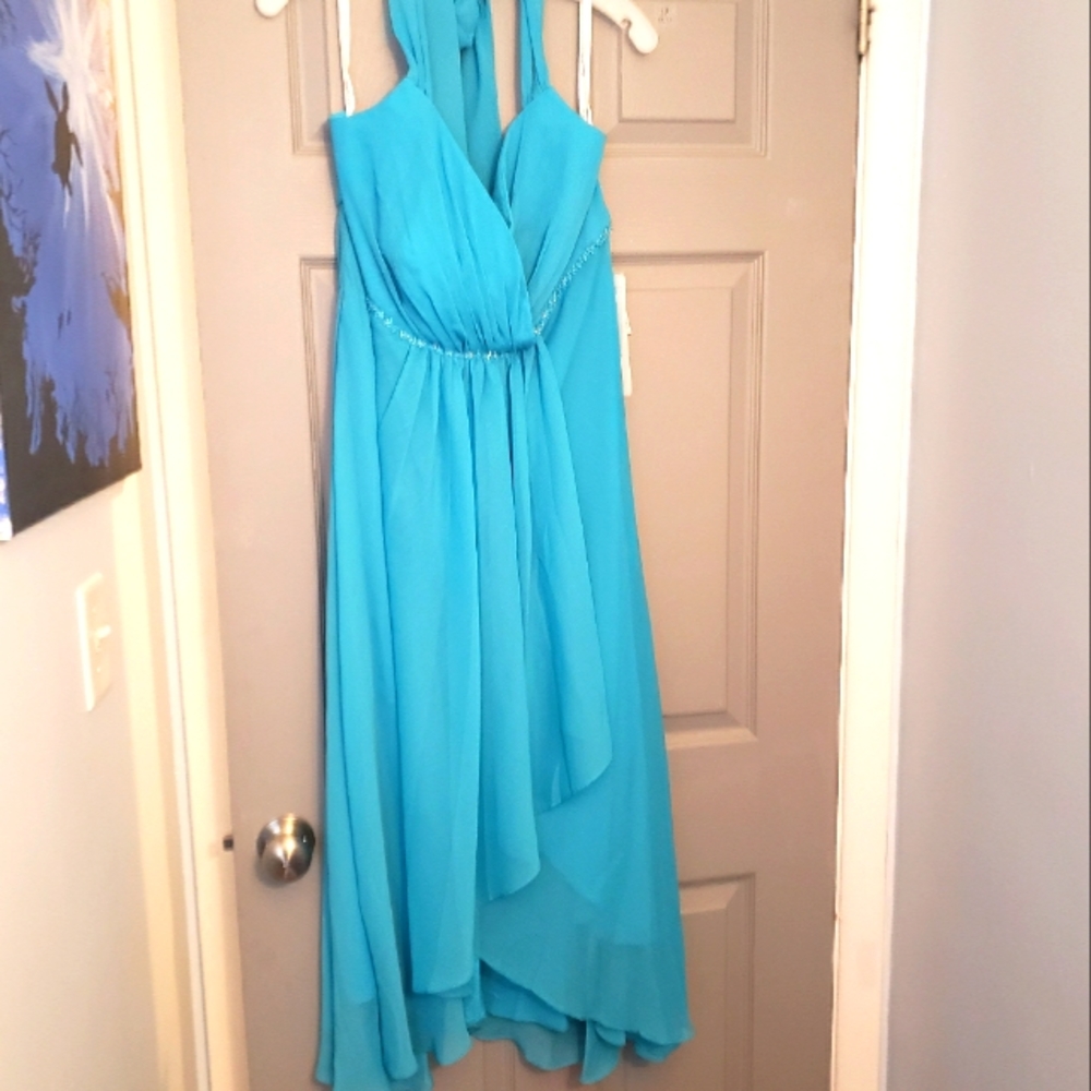 David's Bridal bridesmaid dress